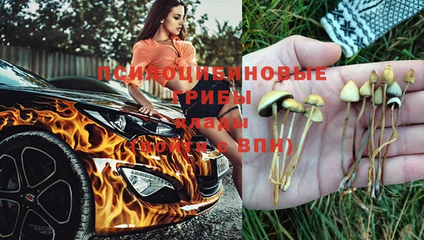 метадон Армянск