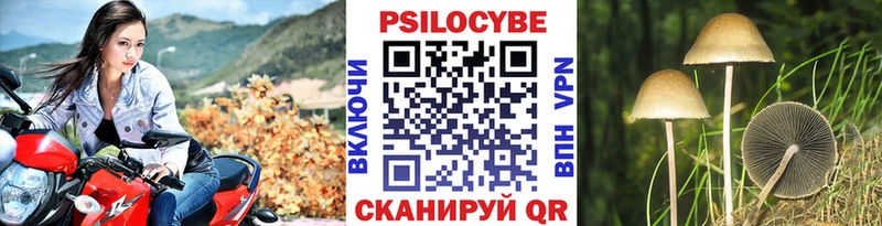 Галлюциногенные грибы Psilocybe  сайты даркнета какой сайт  Нарткала 